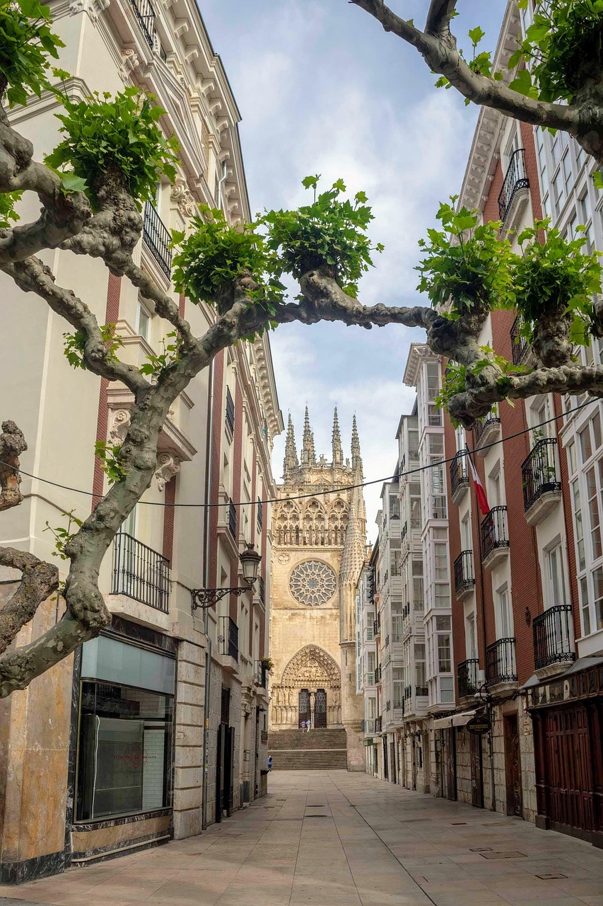 Why shipping-address-spain.com Is the Smart Choice for Global Shoppers